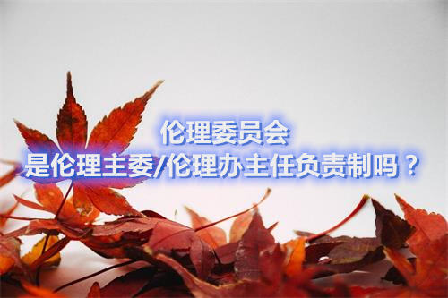 倫理委員會是倫理主委/倫理辦主任負責(zé)制嗎？(圖1)