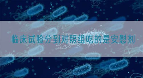 臨床試驗(yàn)分到對照組吃的是安慰劑(圖1)