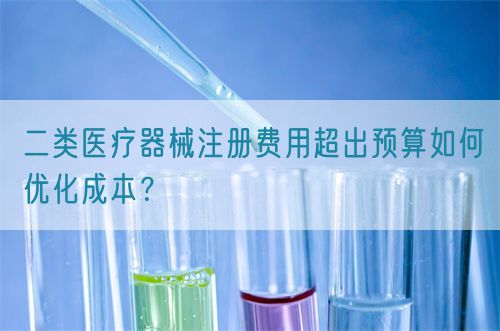 二類(lèi)醫(yī)療器械注冊(cè)費(fèi)用超出預(yù)算如何優(yōu)化成本？(圖1)