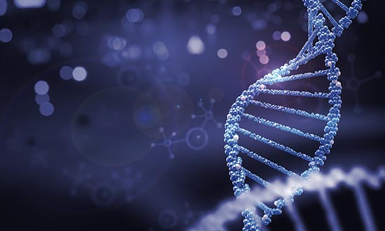 什么是Ⅰ期臨床研究？一文搞懂Ⅰ期臨床試驗全過程(圖3)