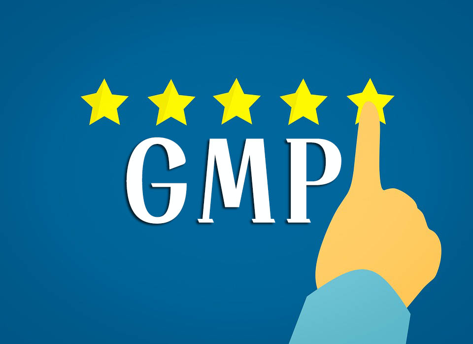 GMP知識手冊匯總（GMP專員、企業(yè)生產(chǎn)質(zhì)量負(fù)責(zé)人必備）(圖1)