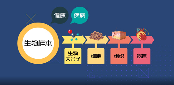 淺談CRC生物樣本管理！生物樣本采集、處理、存儲、運輸全過程注意事項(圖1)
