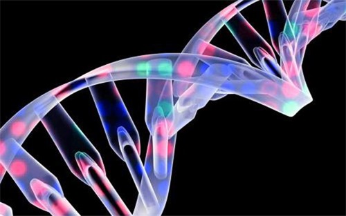 生物相容性是什么意思？怎么判斷醫(yī)療器械要做哪些生物相容性測試項目？(圖1)