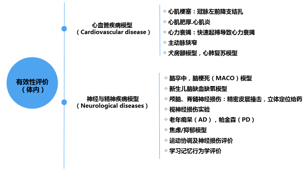 美容類醫(yī)療器械注冊申報關(guān)注要點(diǎn)(圖6)