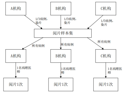 PD-L1檢測試劑臨床試驗—結果重現(xiàn)性研究注冊審查指導原則（2022年第27號）(圖5)