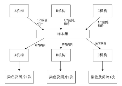 PD-L1檢測試劑臨床試驗—結果重現(xiàn)性研究注冊審查指導原則（2022年第27號）(圖2)