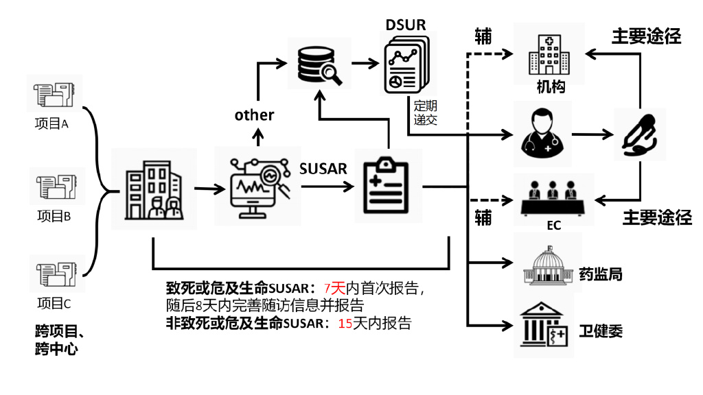 臨床試驗(yàn)安全性事件如何上報(bào)？臨床試驗(yàn)不良事件上報(bào)流程圖(圖3)